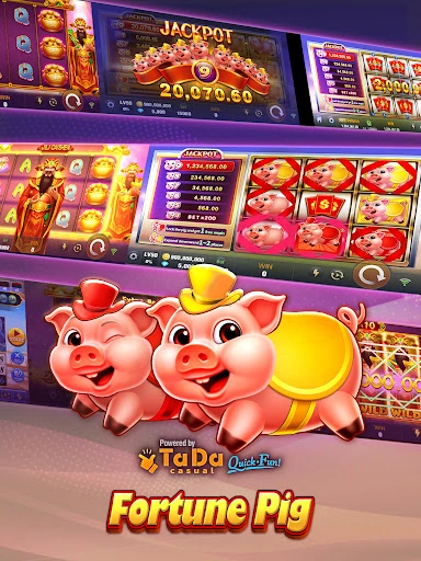 Fortune Pig